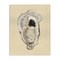 Stupell Industries Aquatic Oyster on Beige Canvas Wall Art Design by Michael Willett